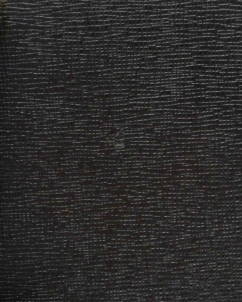 Fendi Petite 2Jours Tote Bag