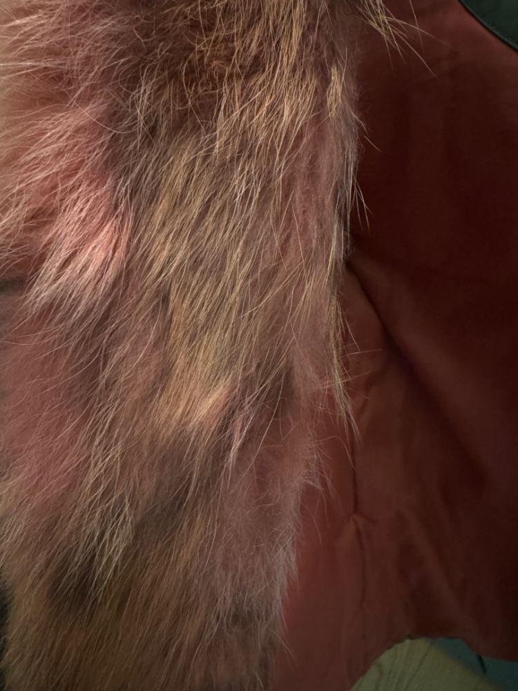 Alessandra Chamonix Mimi Silberfuchs Pelz Parka