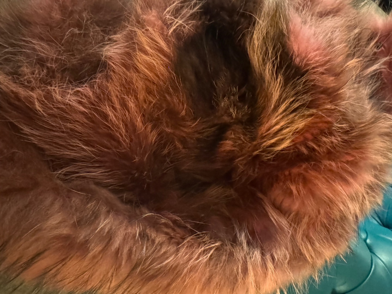 Alessandra Chamonix Mimi Silberfuchs Pelz Parka