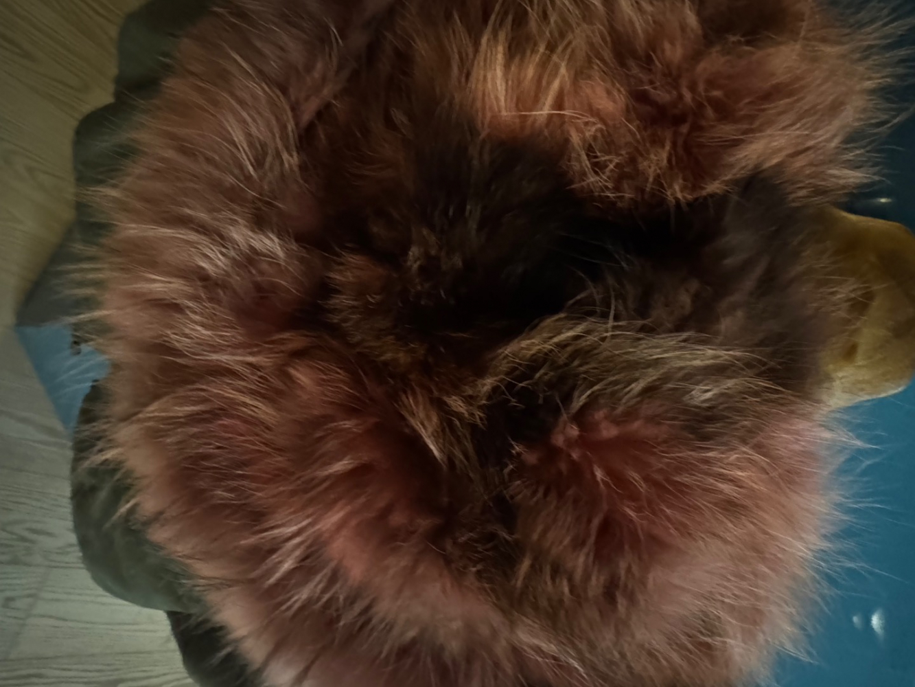 Alessandra Chamonix Mimi Silberfuchs Pelz Parka