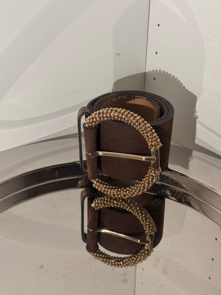 Lanvin Jewel Broche Closure Leather suede Belt