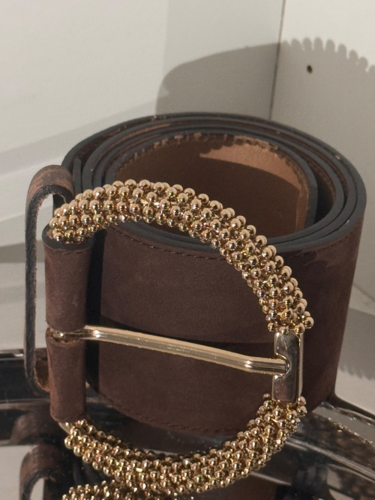 Lanvin Jewel Broche Closure Leather suede Belt