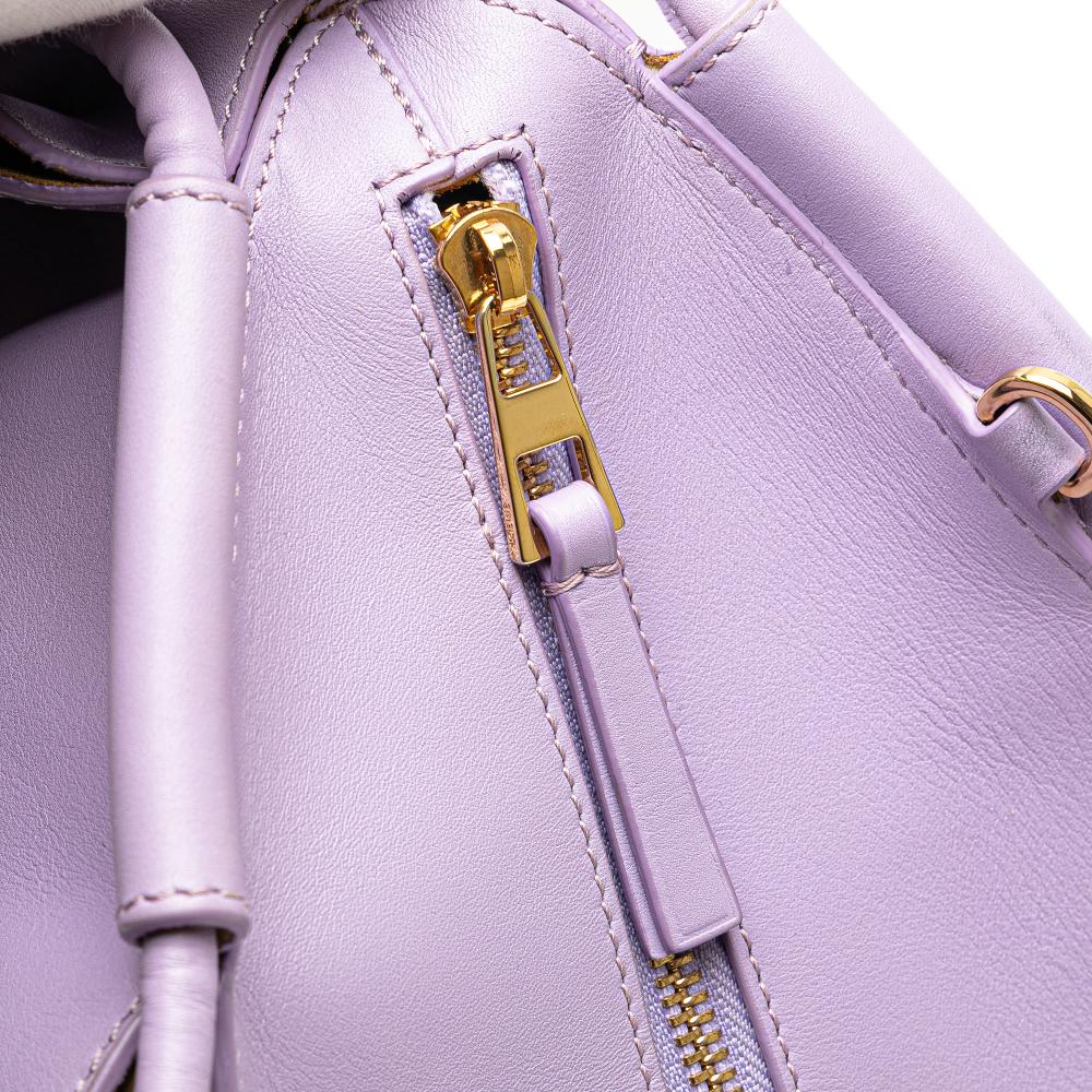 Loewe B LOEWE Purple Calf Leather Small Shiny skin Paseo Satchel Spain
