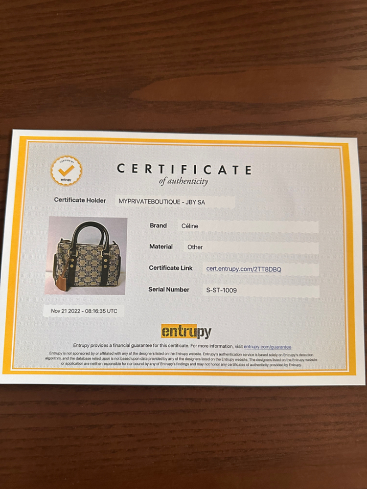 Celine Triomphe Small Boston Bag