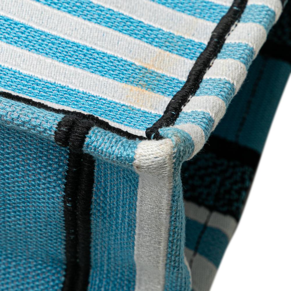 Christian Dior B Dior Blue Light Blue Canvas Fabric Medium Embroidered Zebra D Jungle Pop Book Tote Italy