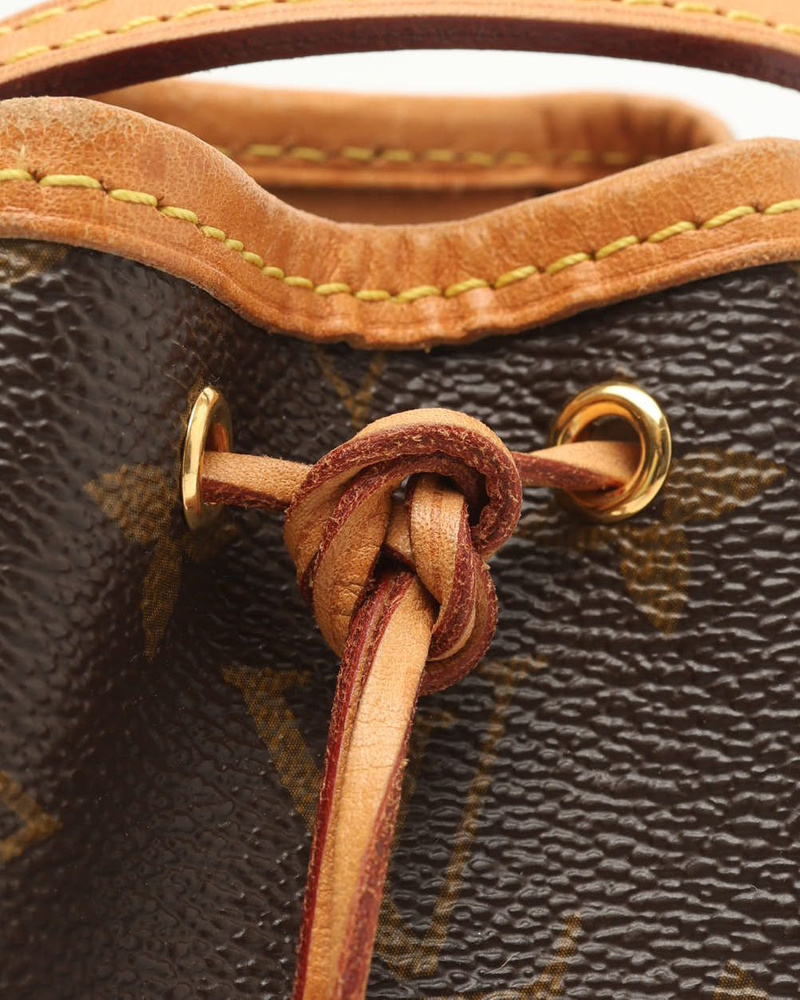 Louis Vuitton Monogram Nano Noé Bag