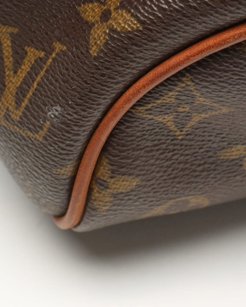 Louis Vuitton Monogram Delightful PM Bag