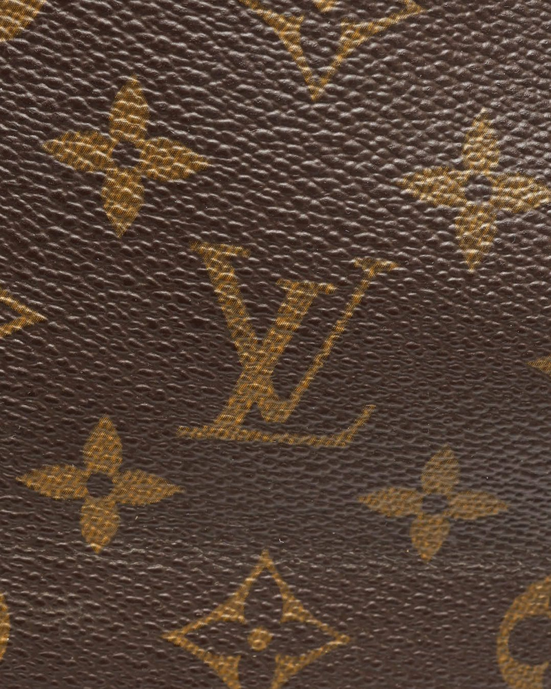 Louis Vuitton Monogram Delightful PM Bag