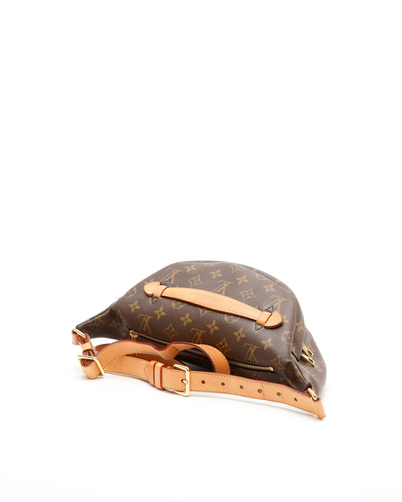 Louis Vuitton Monogram Bum Bag