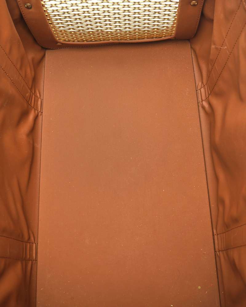 Louis Vuitton Sac Chien 40 Dog Carrier Bag