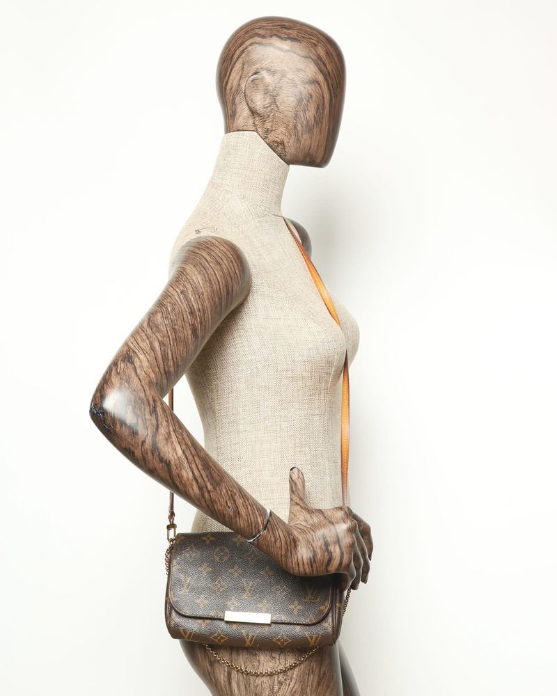 Louis Vuitton Monogram Favorite MM Bag