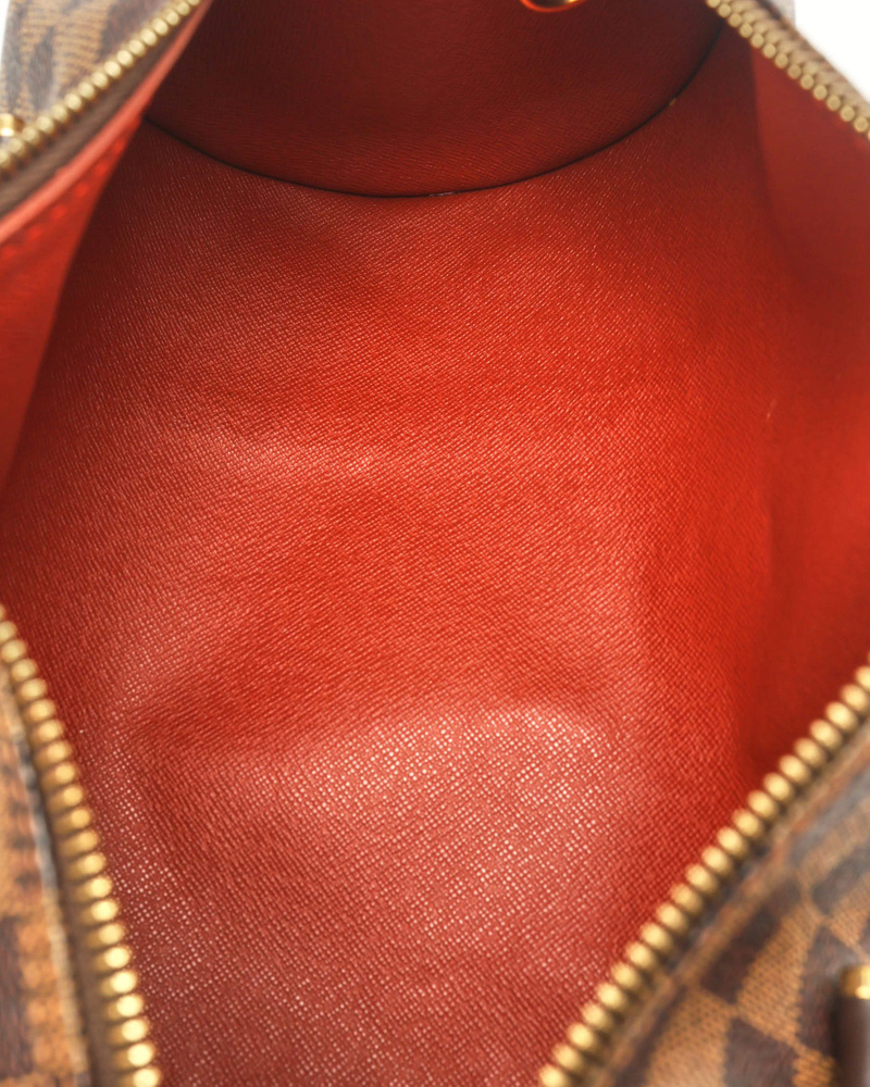 Louis Vuitton Damier Papillon 30 Bag