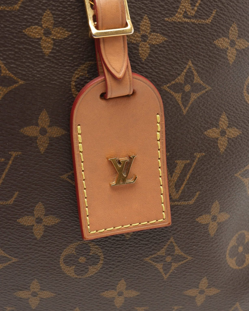 Louis Vuitton Monogram Odeon MM NM Bag