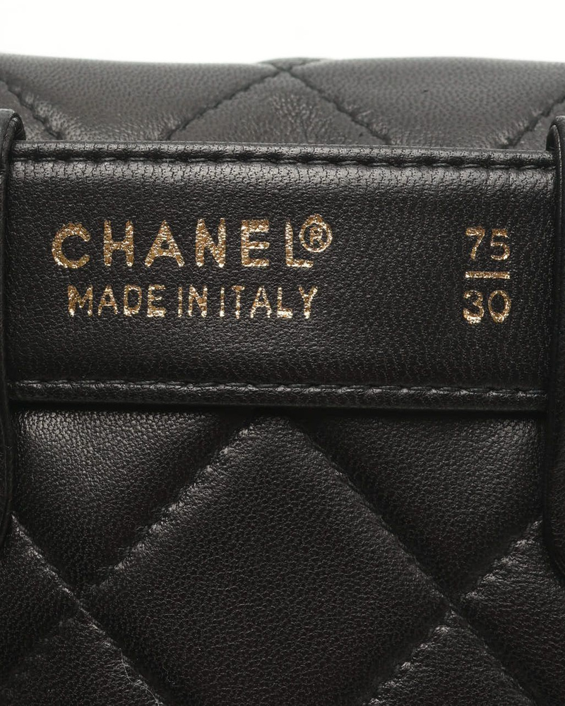 Chanel Classic Quilted Belt Bag