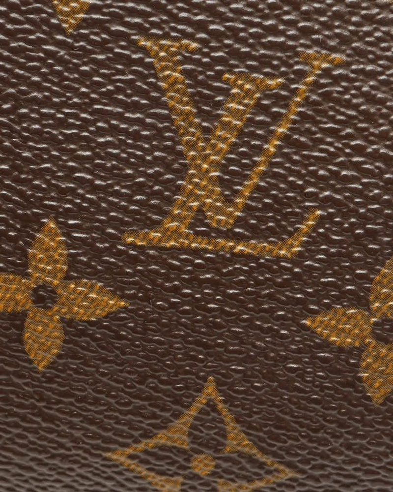 Louis Vuitton Monogram Papillon Pochette 30 Bag