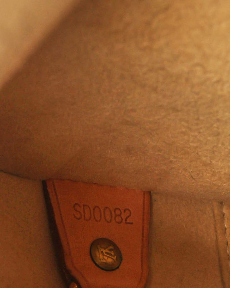 Louis Vuitton Monogram Cite GM Bag