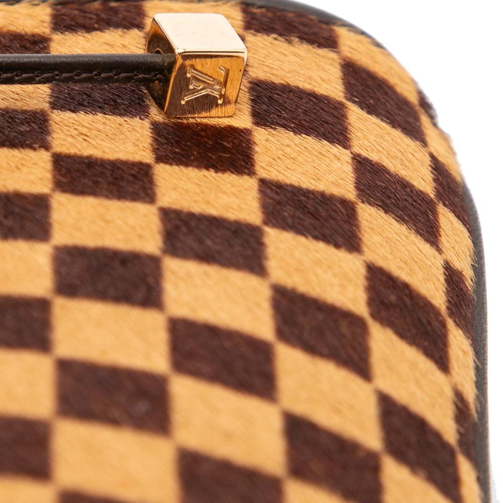 Louis Vuitton AB Louis Vuitton Brown Pony Hair Natural Material Damier Sauvage Impala Italy