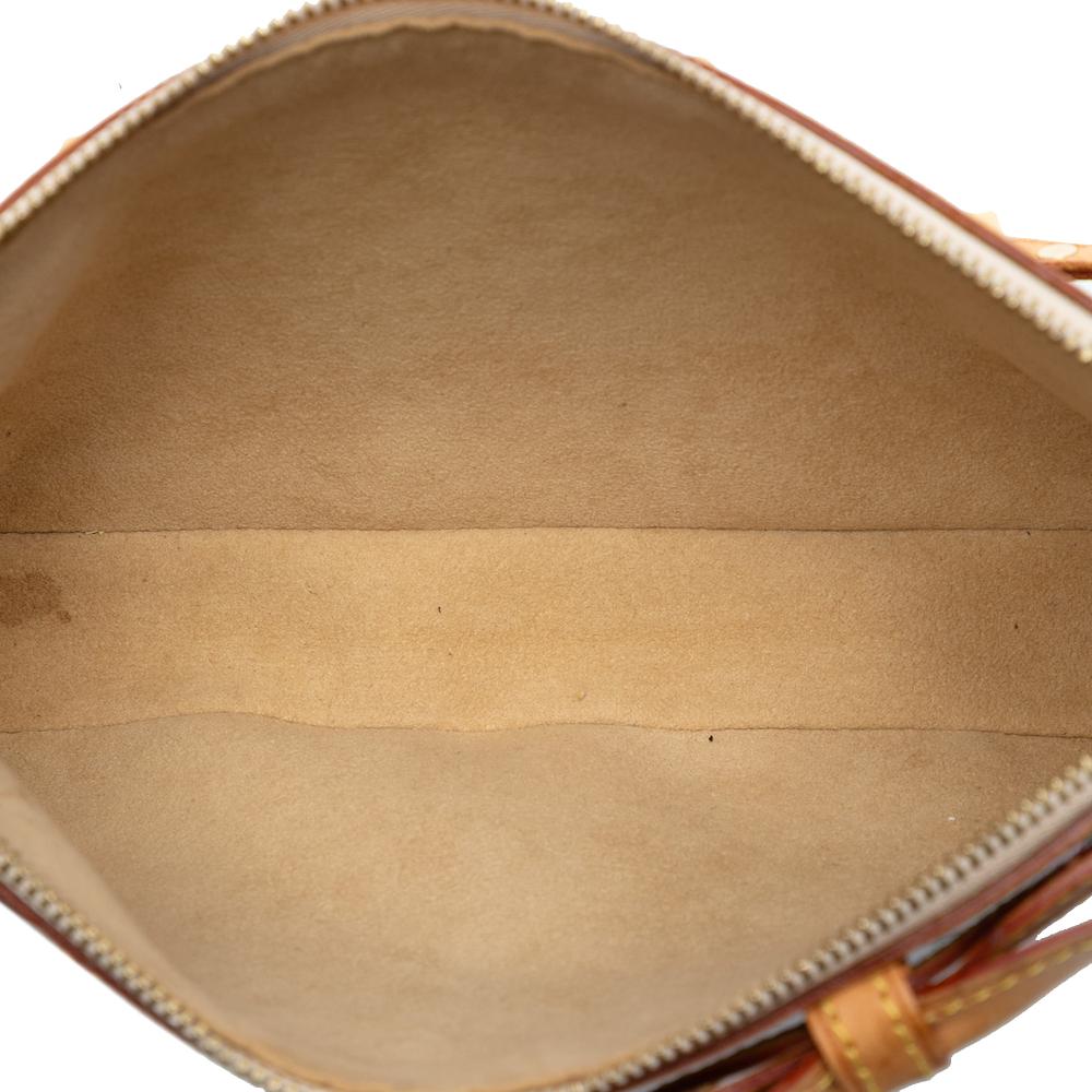 Louis Vuitton Brown Takashi Murakami Monogram Cherry Blossom Pochette Accessoires France