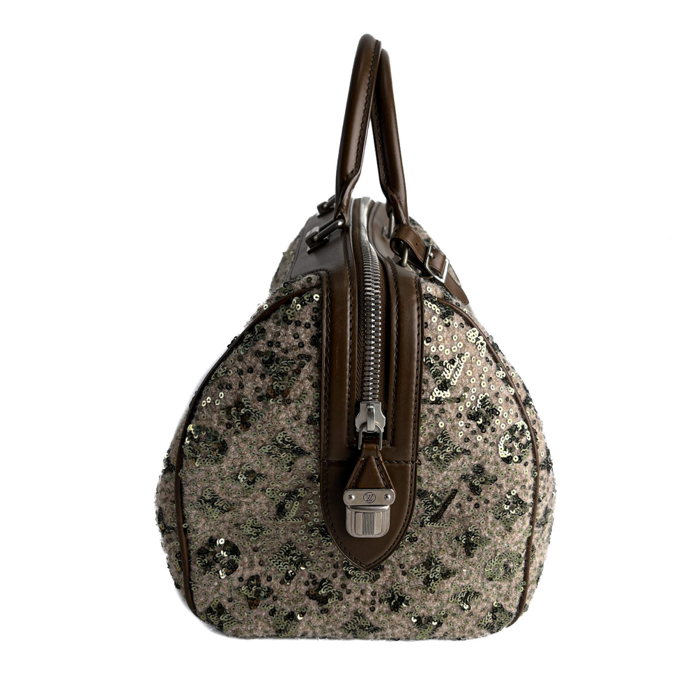 Louis Vuitton Speedy 30 Canvas Sequin Trunk Handbag Brown