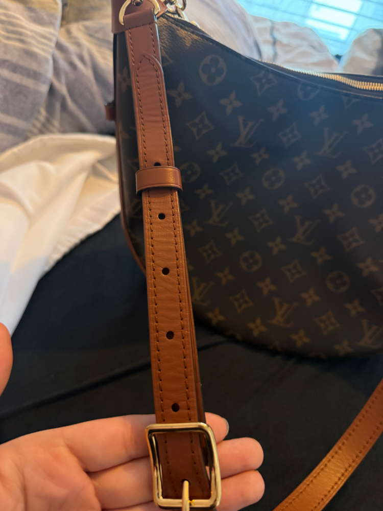 Louis Vuitton Hobo Bag Reverse Monogram