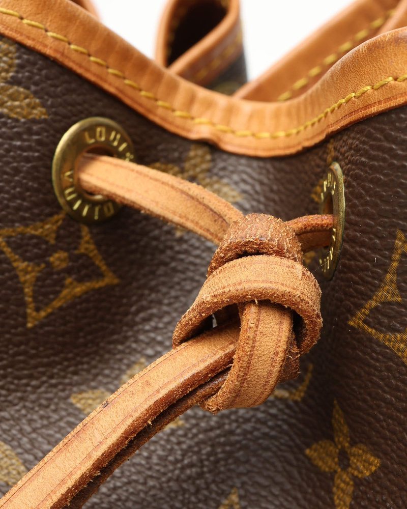 Louis Vuitton Monogram Petit Noé Bag
