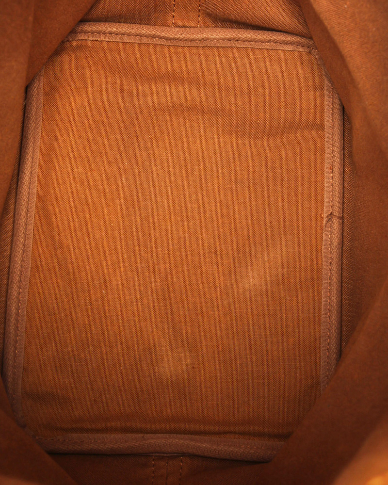 Louis Vuitton Monogram Petit Noé Bag