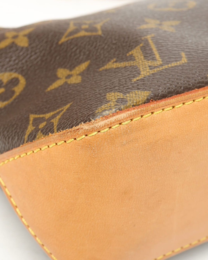 Louis Vuitton Monogram Trotteur Crossbody Bag