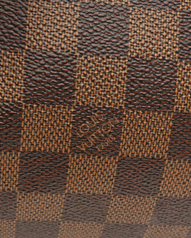 Louis Vuitton Damier Papillon 30 Bag