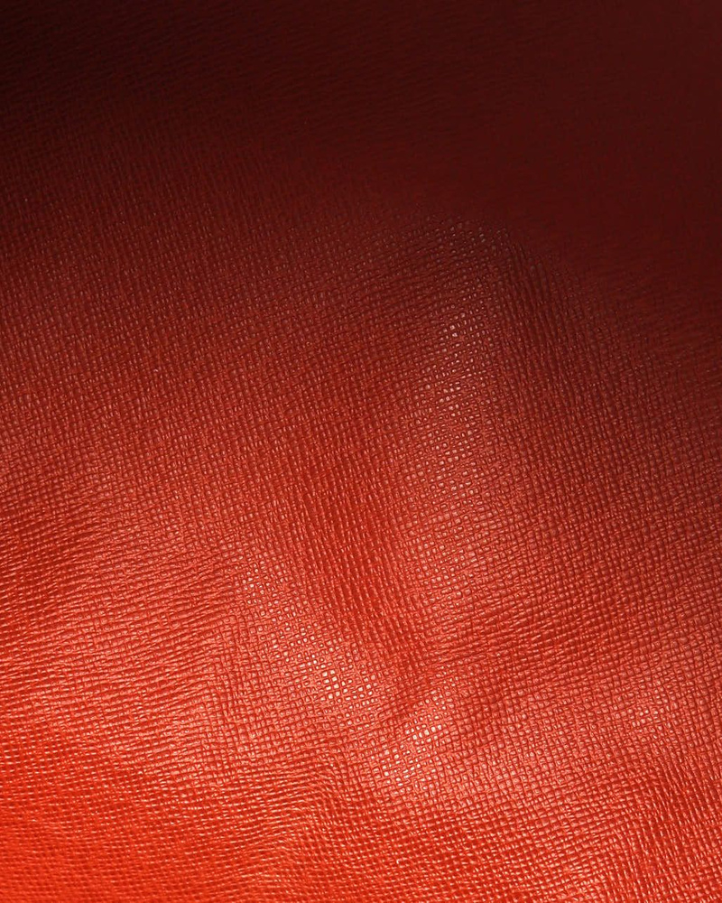 Louis Vuitton Damier Papillon 30 Bag