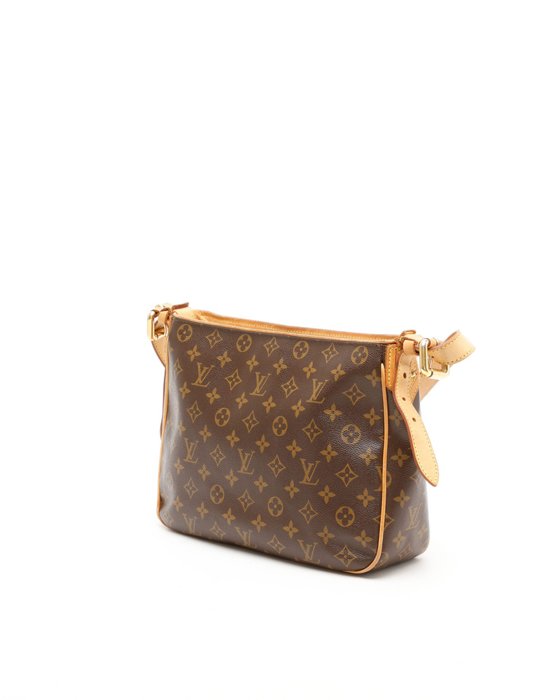 Louis Vuitton Monogram Hudson GM Bag