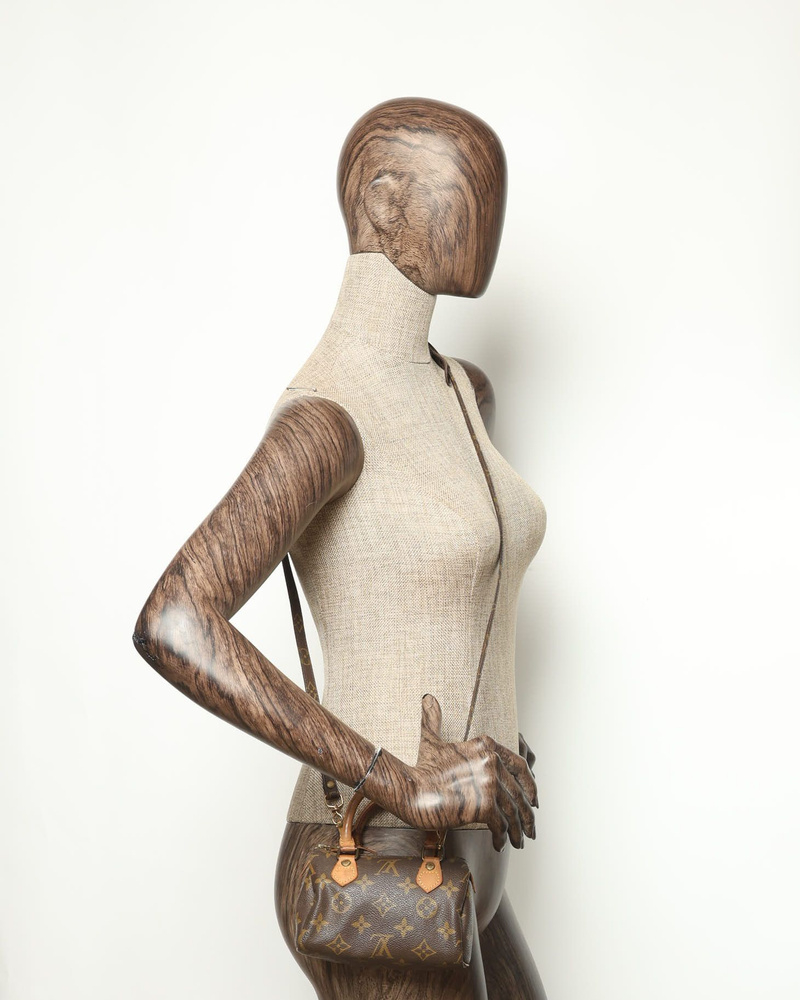 Louis Vuitton Monogram Mini Speedy Bandoulière Bag