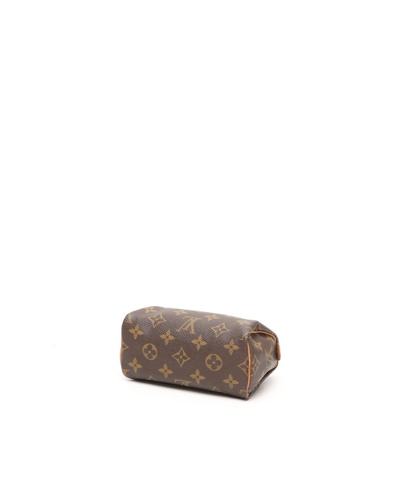 Louis Vuitton Monogram Mini Speedy Bag