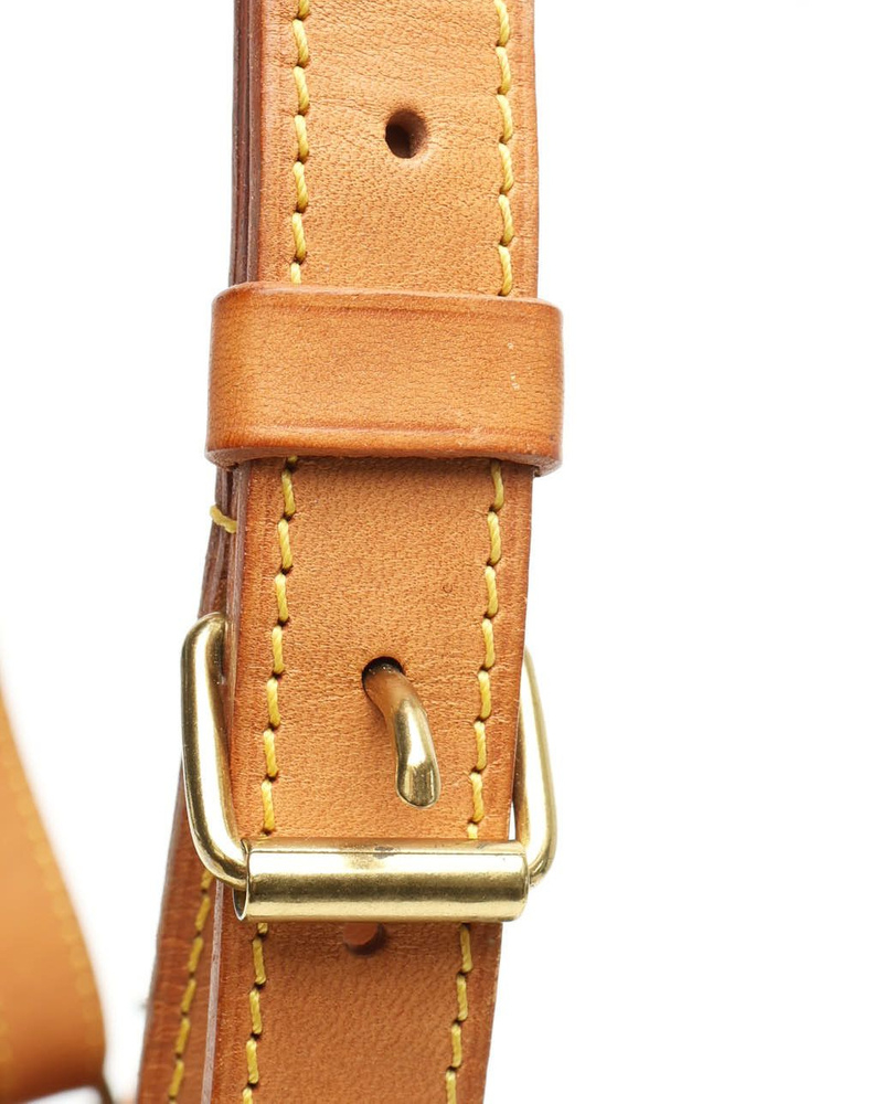 Louis Vuitton Monogram Petit Noé Bag