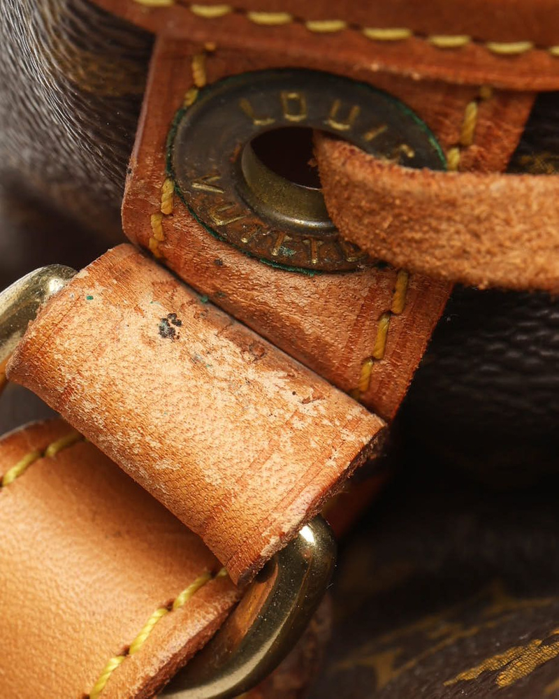 Louis Vuitton Monogram Petit Noé Bag