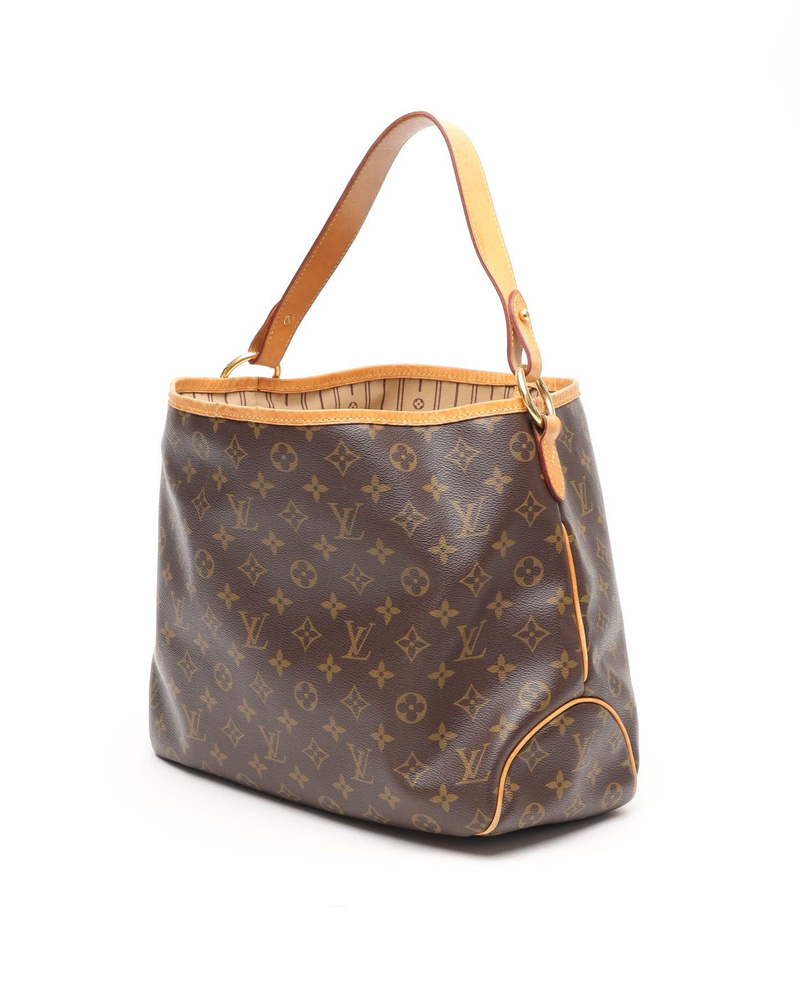 Louis Vuitton Monogram Delightful PM Bag