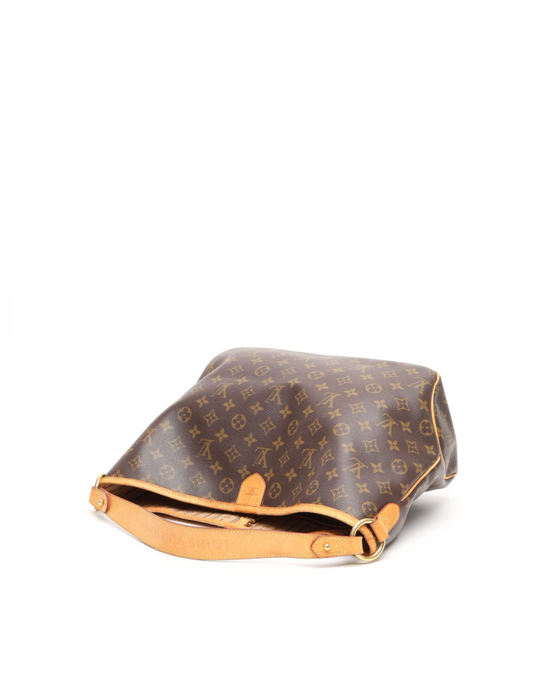 Louis Vuitton Monogram Delightful PM Bag