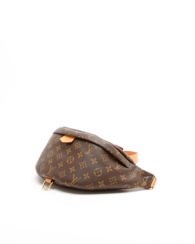 Louis Vuitton Monogram Bumbag