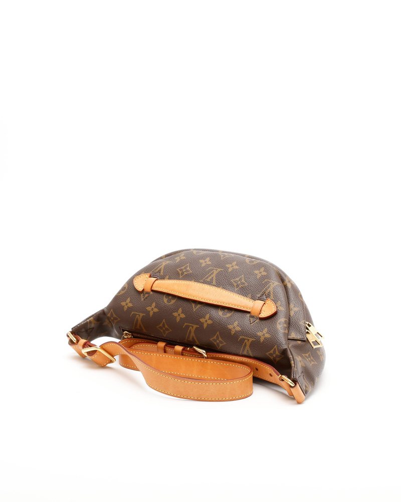 Louis Vuitton Monogram Bumbag