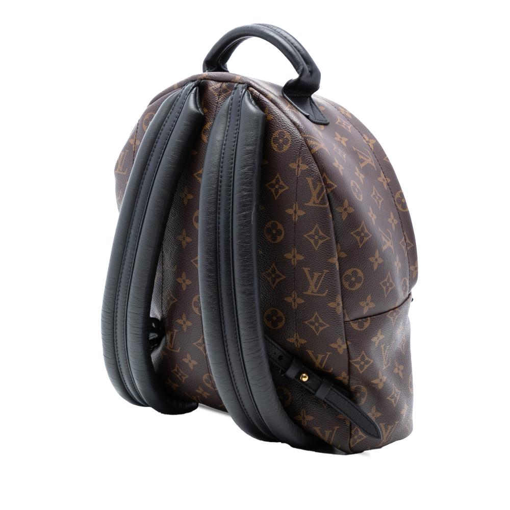 Louis Vuitton B Louis Vuitton Brown Monogram Canvas Fabric Monogram Palm Springs MM France