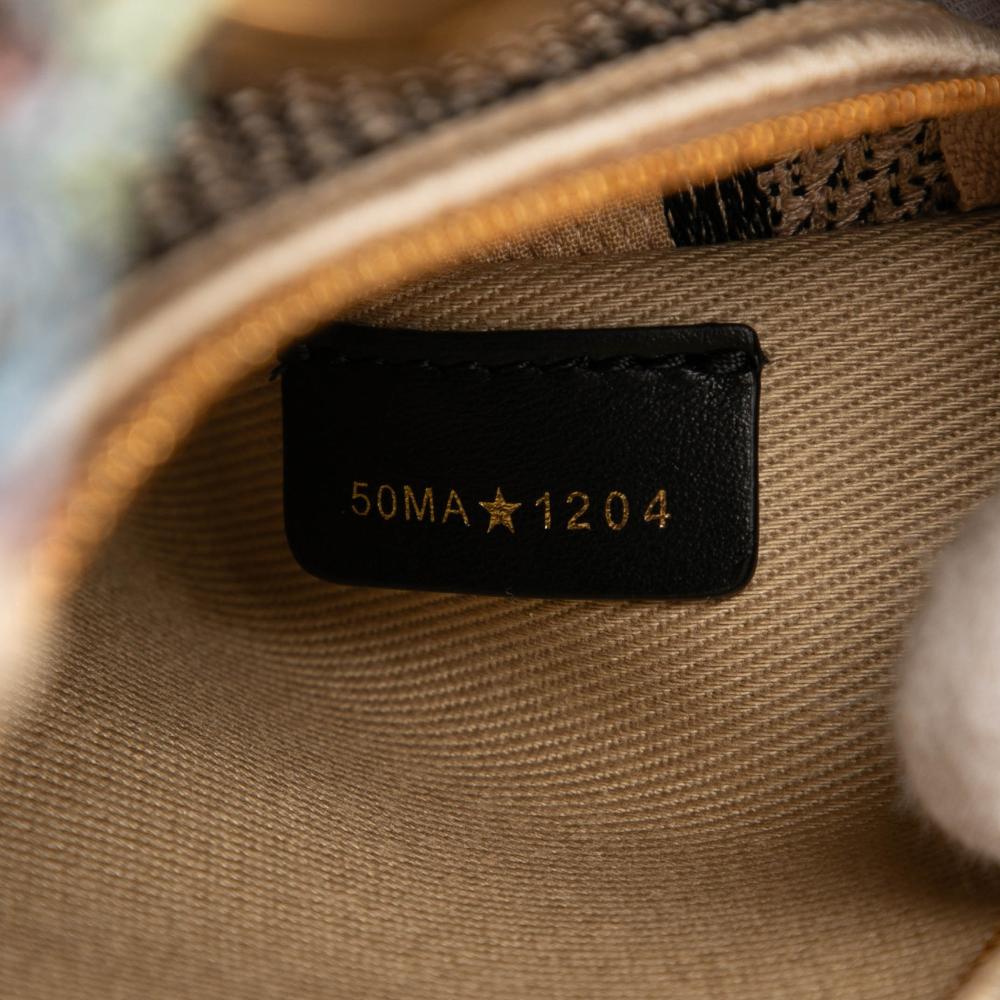 Christian Dior B Dior Brown Beige Canvas Fabric Medium Embroidered Lady D Lite Italy