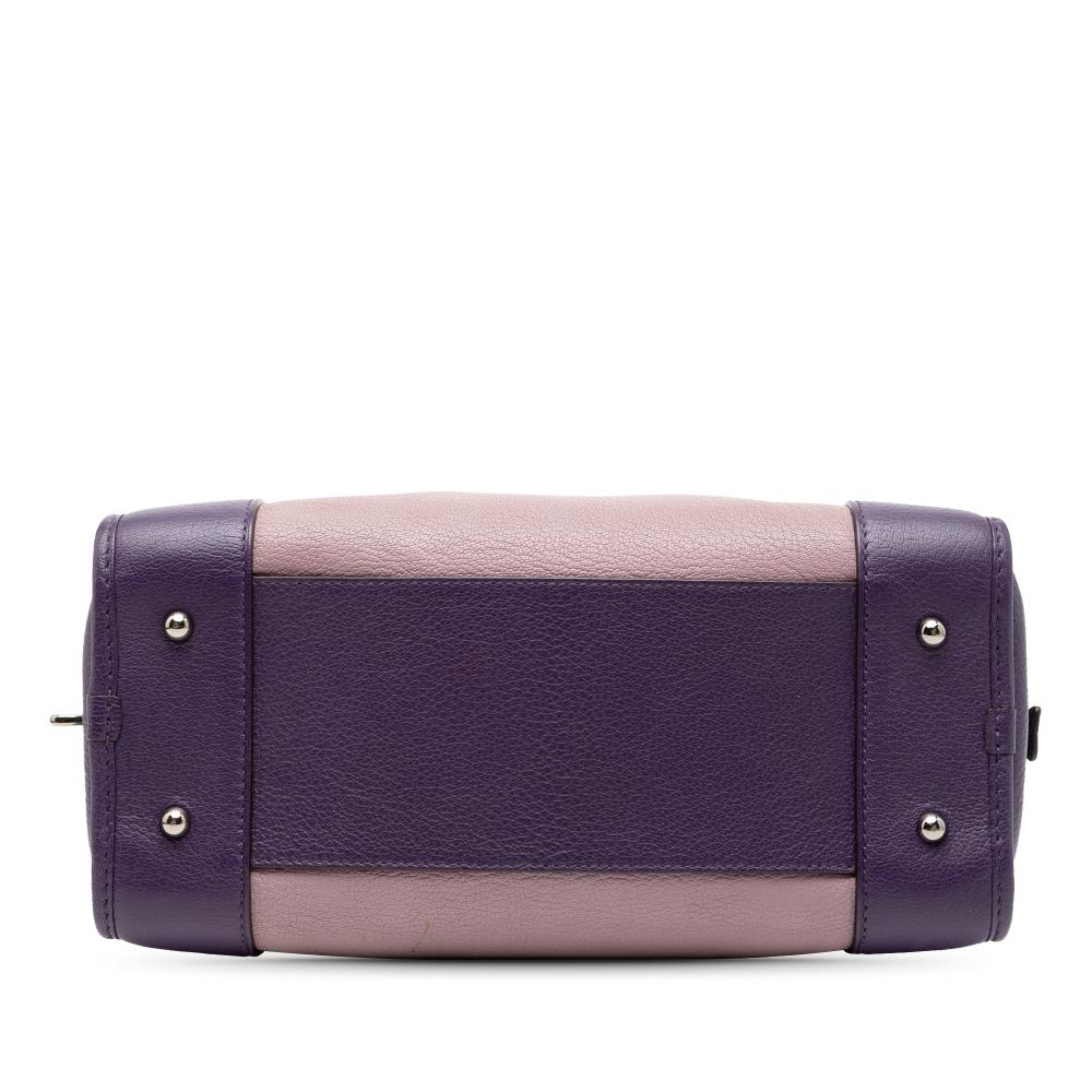 Loewe B LOEWE Purple Goatskin Leather Tricolor Amazona 28 Spain