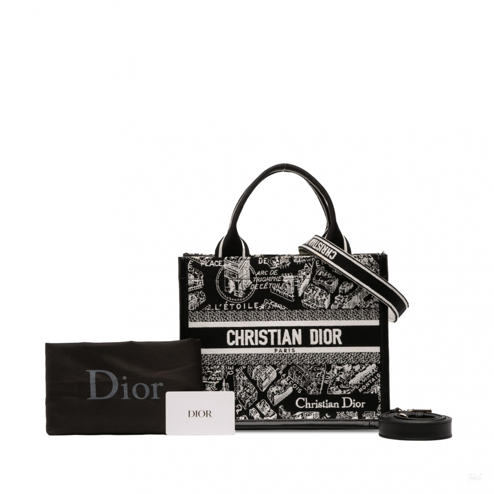 Christian Dior Book Tote Small Embroidery Canvas Tote Bag Plan De Paris Black