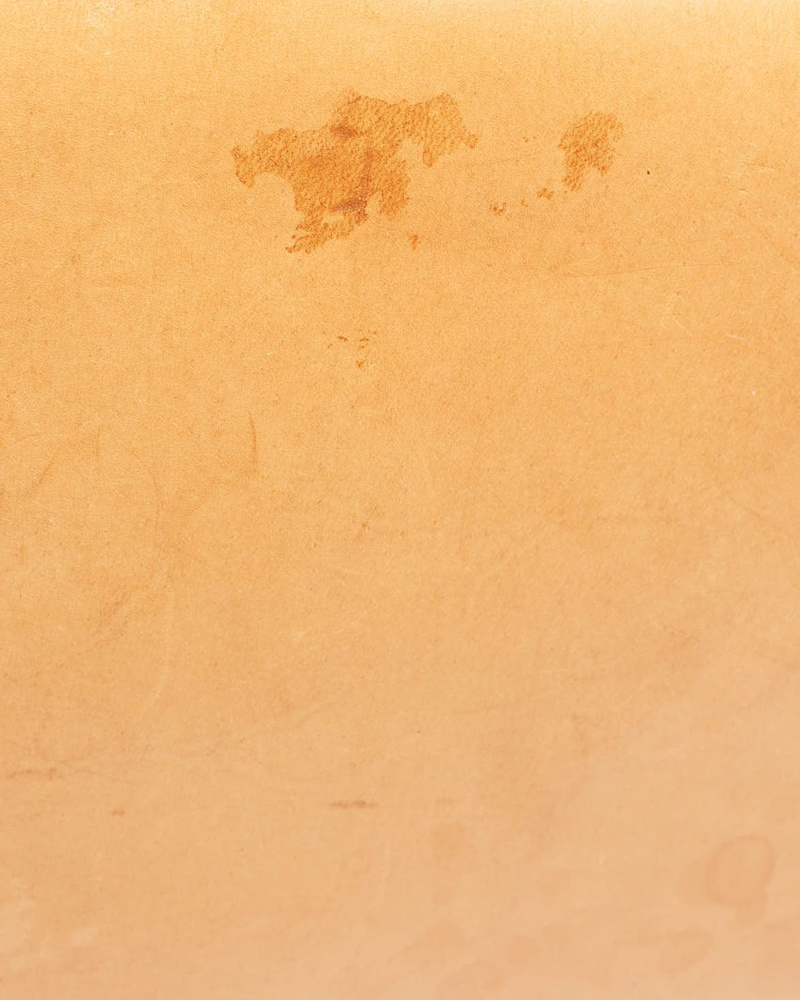 Louis Vuitton Monogram Alma PM Bag