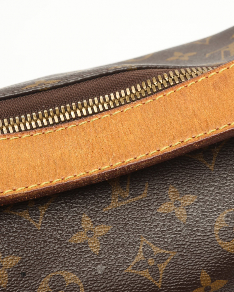 Louis Vuitton Monogram Sully PM Bag