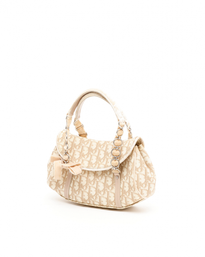 Christian Dior Trotter Romantique Hobo Bag