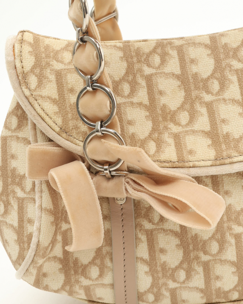 Christian Dior Trotter Romantique Hobo Bag