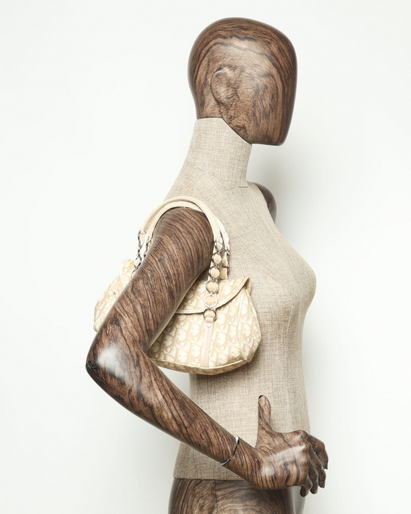 Christian Dior Trotter Romantique Hobo Bag