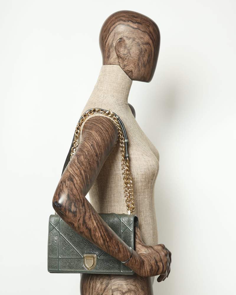 Christian Dior Diorama Bag