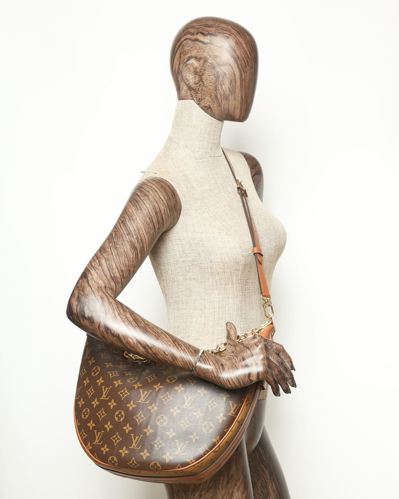 Louis Vuitton Monogram Reverse Loop Hobo Bag