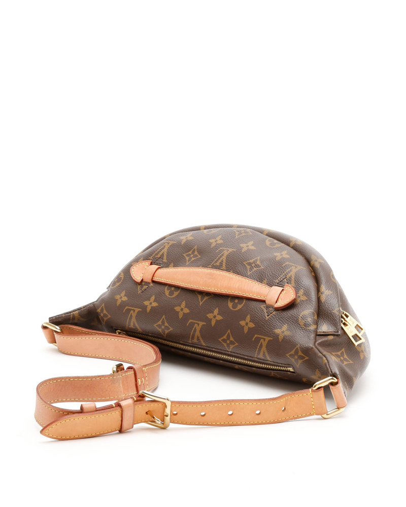 Louis Vuitton Monogram Bumbag